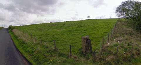 The Wallace Stone photo